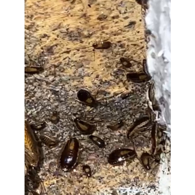 750X1000.jpg